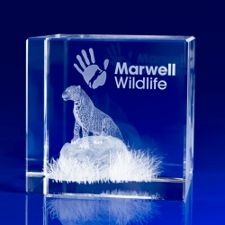 3D Engraved Crystal Award Cube
