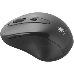 Stanford Wireless Mouse