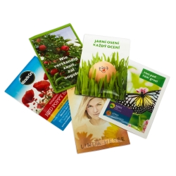 Promotional Seed Packets - Flowers