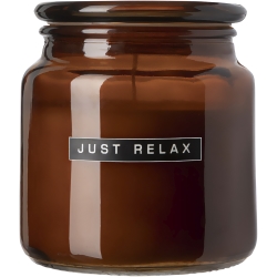 Wellmark Lets Get Cozy 650 g scented candle - cedar wood fragrance