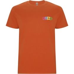Stafford Short Sleeve Kids T-Shirt