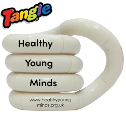 Tangle Puzzle Toy