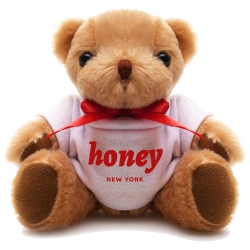 Promotional Teddy Bear